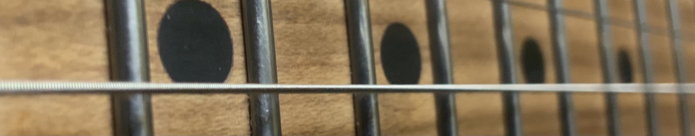 horizontal close up of a guitar fretboard